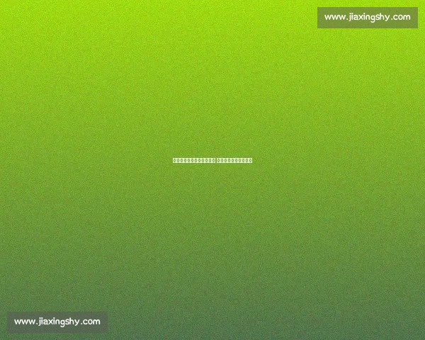 东契奇板凳席写意三分入网 天赋与苦练的完美注脚 东契奇板凳席写意三分入网 天赋与苦练的完美注脚