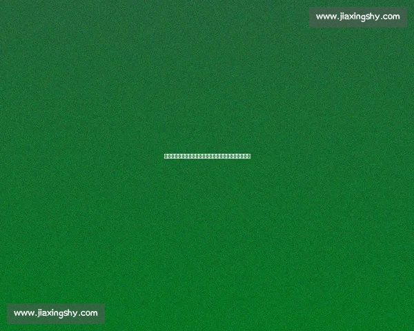 洛塞尔索：世界杯梦想从未褪色，迪马利亚是永恒的标杆