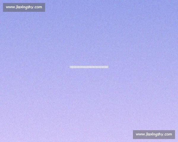 永恒记忆！米兰鸟巢德比夺冠瞬间，十四年后依然热血沸腾