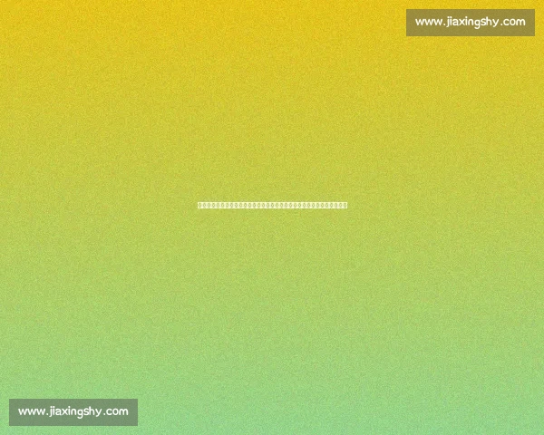 湖人对决休斯顿巅峰碰撞詹姆斯率队迎关键考验之夜决战西部走势风云时刻