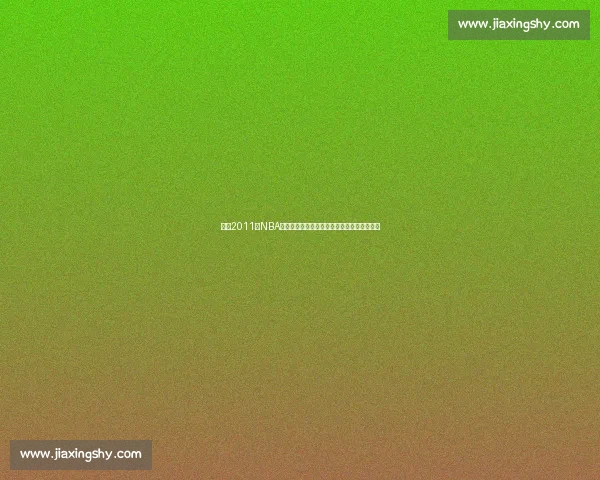 回看2011年NBA公牛对决热火巅峰之战全场经典瞬间回放解析