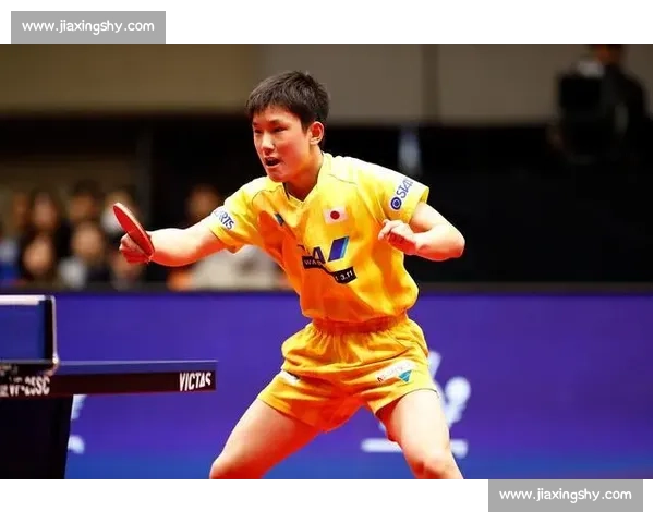 布莱顿对阵巴尼特赛前分析与阵容看点全面解读比赛走势与胜负关键